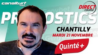 Pronostic QUINTE et des courses PMU du Mardi 21 novembre 2023  En partenariat avec GenybetTurf [upl. by Hild]