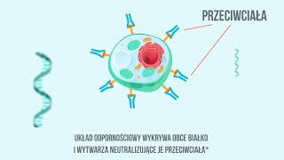 Technologia ukryta w strzykawce Jak działa szczepionka mRNA przeciwko COVID19 [upl. by Norrag468]