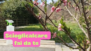 Scioglicalcare fai da te efficace facile ed eco [upl. by Noyk]