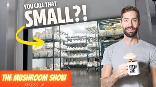 Inside a HUGE Mushroom Farm thats Disrupting the Produce Market The Mushroom Show Ep 10 [upl. by Zarla]