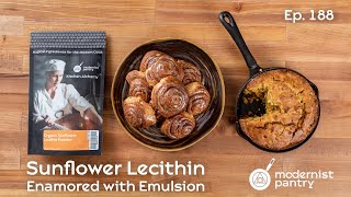 Sunflower Lecithin Enamored with Emulsion WTF  Ep 188 [upl. by Erinna]