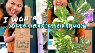 STORYTIME of how I won a Thai Constellation Monstera from Costa Farms  VLOG [upl. by Okim]