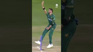 Matthew Wades innings of a lifetime against Pakistan in 2021 😲 CricketShorts YTShorts [upl. by Whyte517]