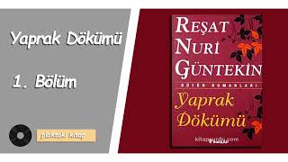 REŞAT NURİ GÜNTEKİN  YAPRAK DÖKÜMÜ  SESLİ KİTAP 1 BÖLÜM [upl. by Triplett531]