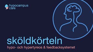 Sköldkörteln hypotyreoshypertyreos amp Feedbacksystemet [upl. by Atterbury269]