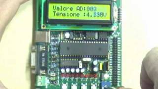 Convertitore AD  PIC16F877  Visualizzazione valore analogico su Display LCD [upl. by Ahtoelc]