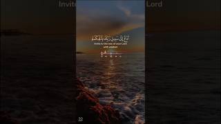 Quran Recitation Beautiful Voice Islamic Channel viralshort quran watchnow [upl. by Rihana400]