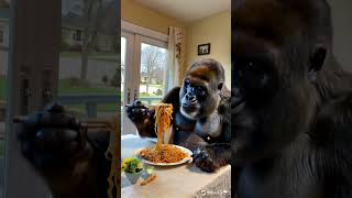 Gorillas actually eat stir fried noodlest kindness cute lovely orange sharing [upl. by Carhart129]