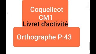 Unité 5  Livret dactivité  Orthographe  L accord de ladjectif qualificatif page 43 [upl. by Ahsatin640]