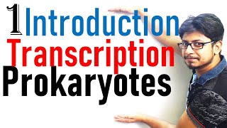 Transcription in prokaryotes introduction  Transcription lecture 1 [upl. by Dotti]