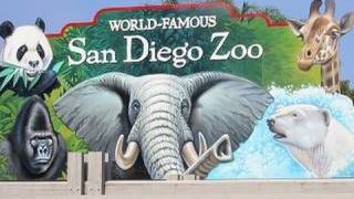 Visiting The San Diego Zoo in HD [upl. by Luedtke]