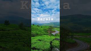 Must visit place in Munnar kerala munnar [upl. by Hyacinthia961]