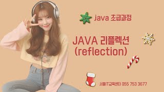 javareflection 자바 신사임당 81기 292강 JAVA 리플렉션reflection [upl. by Alleda]