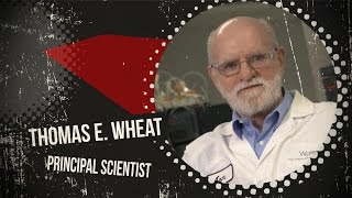 Tom Wheat How to perform amino acid analysis  Behind the Science [upl. by Ronyam]