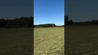 RC plane Extreme low flyby [upl. by Coltun]