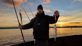 Hartlepool Pilot Pier Practicing Using Multiplier Reels And Catching Plenty Of Whiting [upl. by Nohtanoj592]