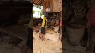 Pembuatan papan cor sawmillkayu wood bandsawkayu woodworking bandsawindonesia shortsviral [upl. by Latrice983]