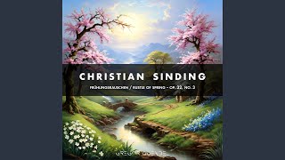 Sinding  Frühlingsrauschen Rustle of Spring Op 32 No 3  Arranged for Piano [upl. by Suivatco595]