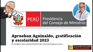 Aprueban GRATIFICACION Y ESCOLARIDAD PARA LOS DOCENTES AUXILIARES NOMBRADOS Y CONTRATADOS 2023 [upl. by Armin467]