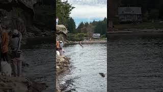 Cliff jumping in Gabriola [upl. by Eckmann]