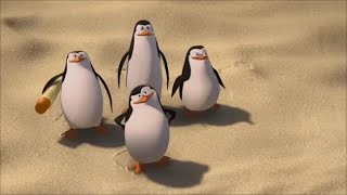 Mission Cuba  PENGUINS OF MADAGASCAR [upl. by Alleiram45]