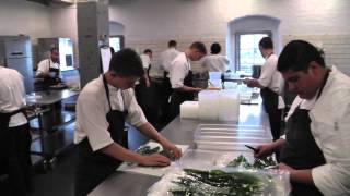 Behind the scenes at Noma in Copenhagen [upl. by Dede]