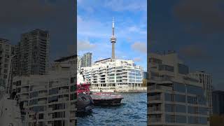 scenes by the harbourfront toronto toronto trending viral shortsviral vlog subscriber [upl. by Notlim]