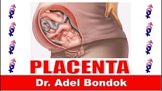 Placenta Dr Adel Bondok [upl. by Mohandas]