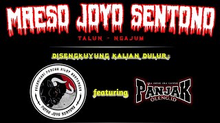 SANES KENCRING‼️PUTRO JOYO SENTONO FEAT PANJAK OLENG PUTRO SEJATI LIVE TALUN NGAJUM [upl. by Laine995]