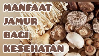 MANFAAT JAMUR BAGI KESEHATAN  HEALTH BENEFITS OF MUSHROOMS [upl. by Loram]