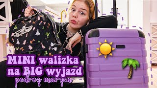 Pakuję walizkę do USA 🌴🇺🇸 [upl. by Ajay]