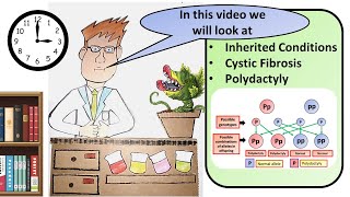 GCSE Biology Inherited Conditions Revision [upl. by Ailadi]