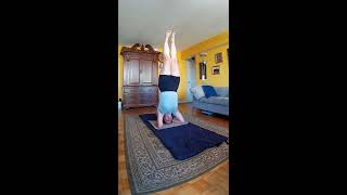 my best stupid human trick  a headstand [upl. by Lipson549]