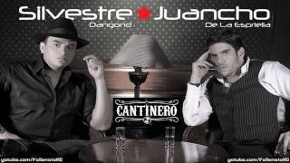 Silvestre Dangond  Mi Propia Historia Cantinero  Vallenato 2010 [upl. by Kcirdneked]