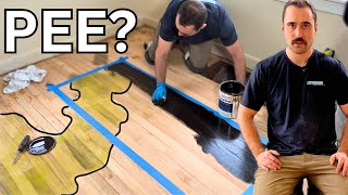 Refinishing A Wood Floor With Dark amp Nasty Stains What to do about it [upl. by Susejedairam]