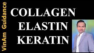 Collagen Elastin and Keratin [upl. by Randolph]