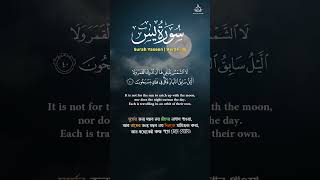 Surah Yaseen Yasin 383940 সূরা ইয়াসিন سورة يس quran quranrecitation shorts [upl. by Aydiv]