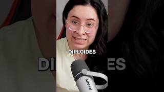 CÉLULAS DIPLOIDES vs HAPLOIDES ubaxxi uba biologia [upl. by Nasus619]