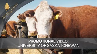 University of Saskatchewan  Promotional Video  Cowbytes Program [upl. by Brittany]