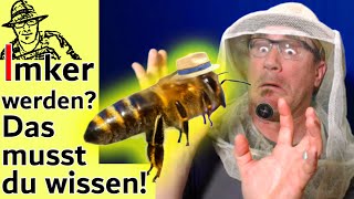 Bienen halten für Anfänger Tipps für ImkerNeulinge  die wichtigsten Antworten auf eure Fragen [upl. by Fuchs]