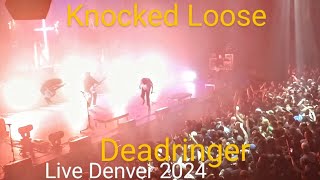 Knocked Loose  Deadringer Live 2024 [upl. by Garett419]