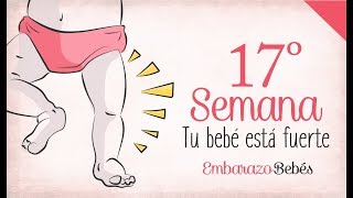 SEMANA 17 de Embarazo  4º Mes  Semana a semana [upl. by Relyuhcs]