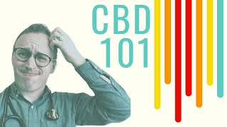 CBD Oil 101 Doctor Explains for ABSOLUTE beginners [upl. by Mears739]