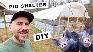 How to BUILD a PIG SHELTER Small Scale  COST [upl. by Odille105]