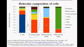 3 1 macromolecules [upl. by Obau]