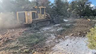 500HP mulcher mulching down some TREES [upl. by Lacsap]