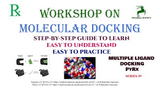 Workshop on Molecular docking  Multiple ligand docking  Series4 [upl. by Ygiaf]