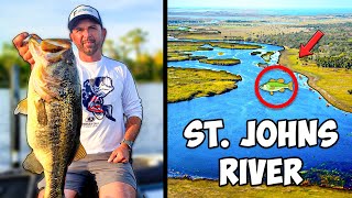 St Johns River Fishing Report Where Are The Bass [upl. by Punke]