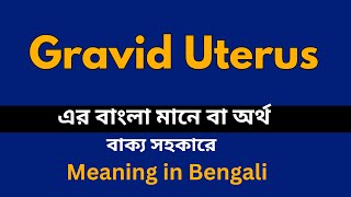 Gravid Uterus Meaning in Bengali Gravid Uterus শব্দের বাংলা ভাষায় অর্থ অথবা মানে কি [upl. by Bartholomeus]