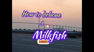 How to debone a milkfish  Amateur  EP19 [upl. by Ford886]